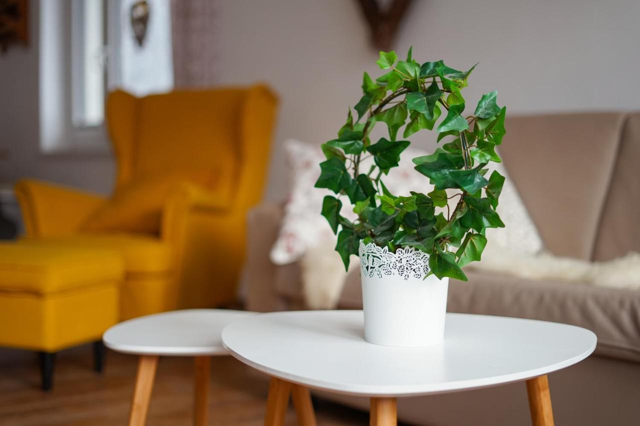 Apartmán Cozy Nest In The Heart Of