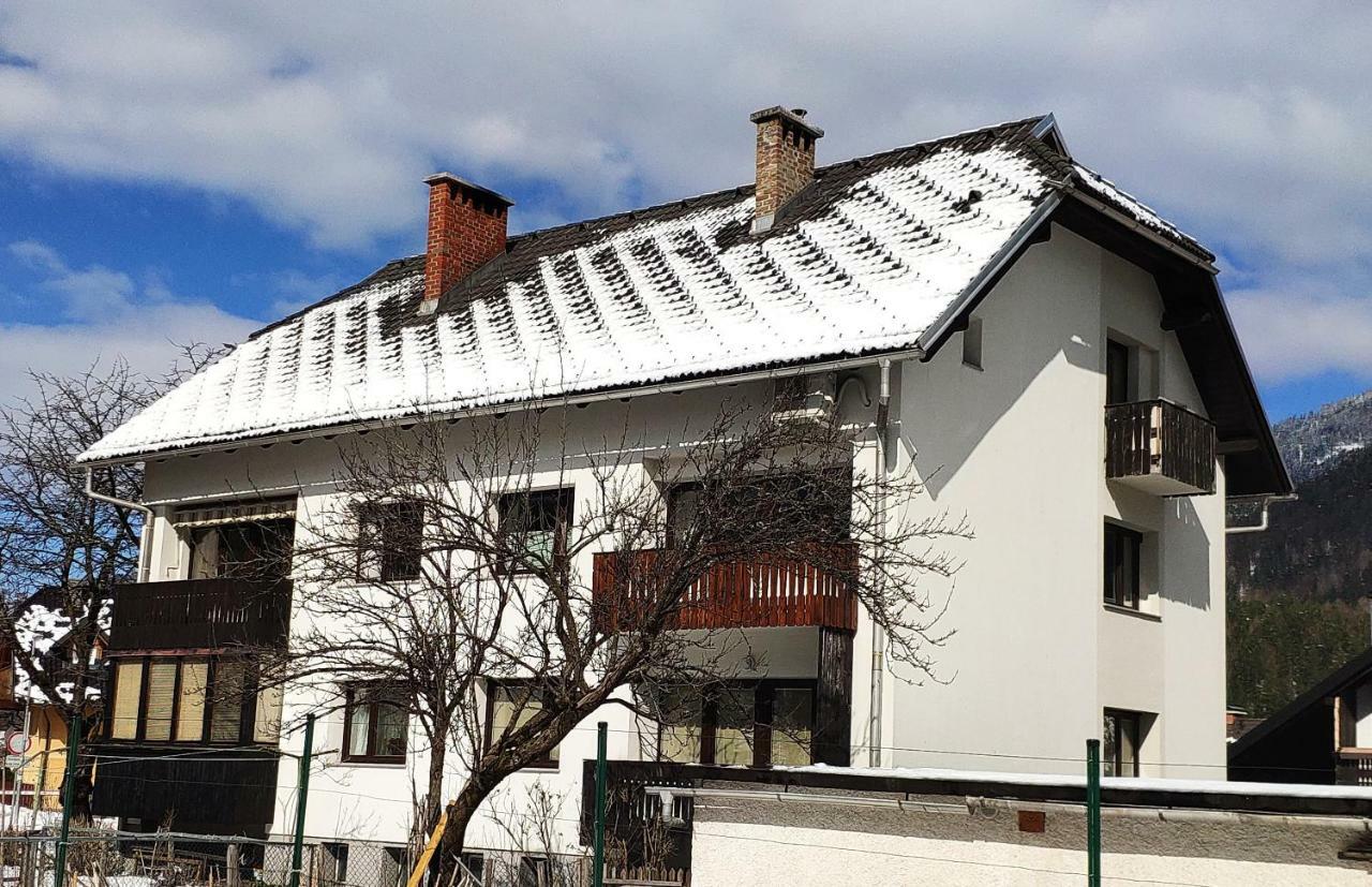 Apartment Cozy Nest In The Heart Of